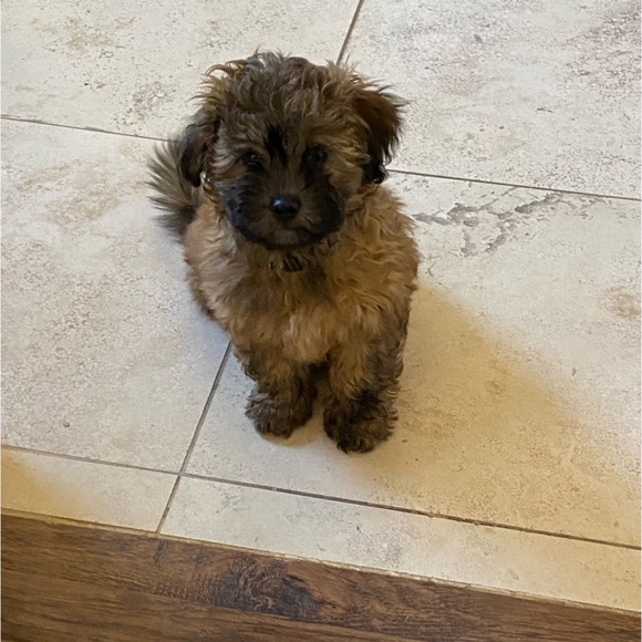 Live Notice!l Like this listing2be notified of lives!join the fun! All NWT! - Picture 11 of 14